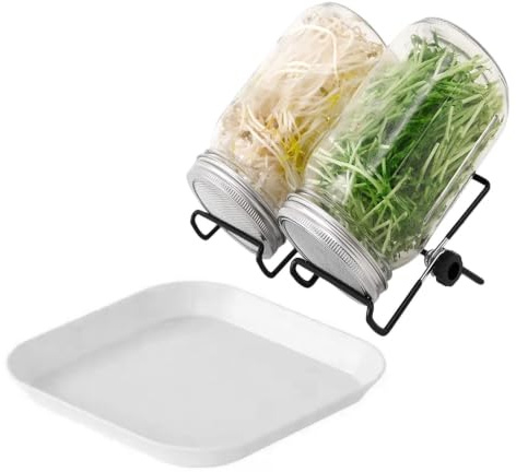 Sprouting burksats – Frögroddglas, hydroponisk odlingshållare set | Fröspridningssats – glasburkhållare för hemmet odling | Nätlock med saltfritt grobarhetssystem, 8,8 x 15,5 cm
