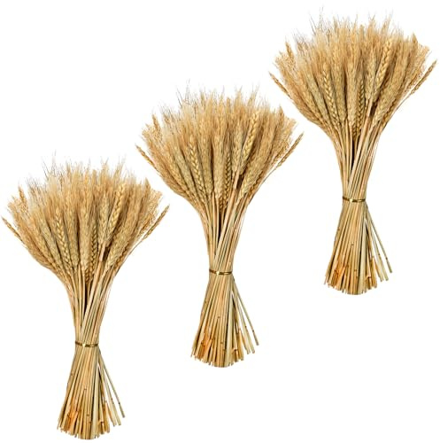 Fairblo 300 Pezzi Spighe di Grano Decorative Fiori Secchi Decorativi Spighe Fiori Essiccati Fiori Finti Grano per Matrimonio Chiesa Camino Tavolo da Pranzo Decorazione Della Casa