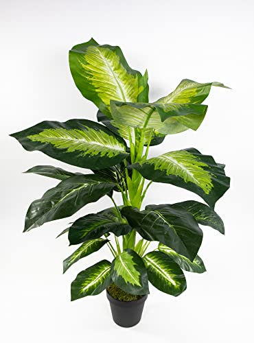 Seidenblumen Roß Dieffenbachia 75cm grün-gelb ZJ Kunstpflanzen künstliche Pflanzen