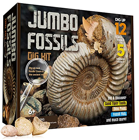 XXTOYS - Jumbo Kit De Fossiles Fossiles Jeu Enfants Fouilles Et Découvertes Archéologiques Kits Éducatifs De Sciences