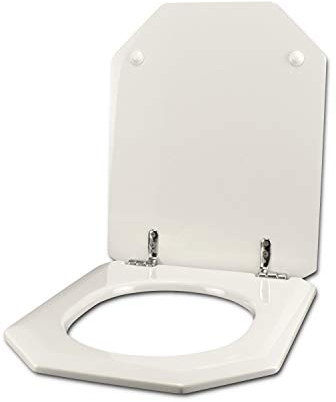 WC-Sitz für Geberit SPHUNX MyCENE 22 weiß Scharnier normal oder verlangsamt