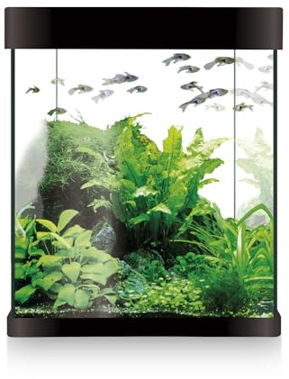 Acuario ICA Kit Nano AQUALED 10 litros Negro