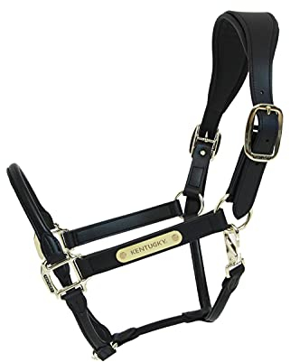 Kentucky Horsewear - Halfter - Anatomisches Leder - Schwarz - Cob