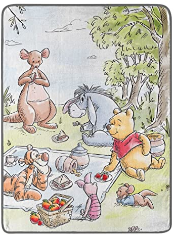 Northwest Disney's Winnie The Pooh Micro Raschel Überwurfdecke, 116,8 x 152,4 cm, Friend Picknick