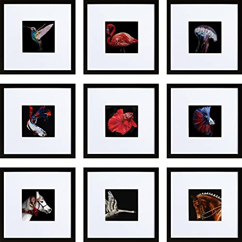 HEART ART 8x8 Black Picture Frame Set of 9,Display Pictures 4x4 with Mat or 8 x 8 without Mat,Multi Collage Gallery Square Photo Frames for Wall or Tabletop