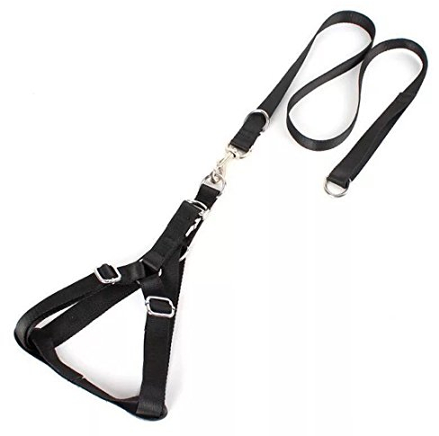 Harness mit Step-In Geschirr