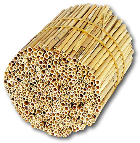 BeeCasa Schilfrohrhalme - Niströhren FEIN | Natur Nisthülsen | 16 cm | Schilfhalme Füllmaterial für Insektenhotel & Bienenhotel | Nisthilfen für Wildbienen | Auch zum Basteln & Deko | Hiss Reet