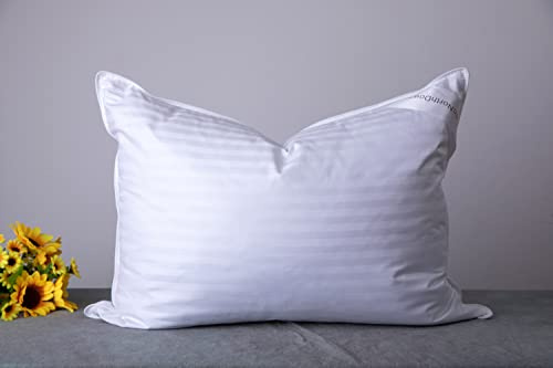 ArcticNorthDown Hotel Collection Oreillers de lit pour Dormir, garnissage en Plumes d'oie pour dormeurs sur Le Dos, Le Ventre ou sur Le côté, Blanc, Taille Standard
