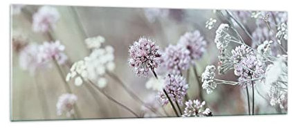 Panorama Bilder auf Glas Wiese Knoblauch Blume Glasbild 140x50cm Wandbilder Dekoration Wohnzimmer Schlafzimmer Küche Groß XXL Wanddeko Bild im Glas Wand Kunstdruck Art Modern Wall Decor GAB140x50-4177