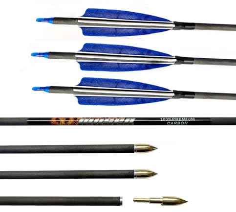 ACCMOS 6 Stück Kohlepfeil ID 6,2 mm Spine 250 300 350 400 500 600 700 800 Jagdpfeil 4 Zoll Blau Weiß Truthahn Feder für Jugend Erwachsene Bogenschießen (Spine 400, 30inch)