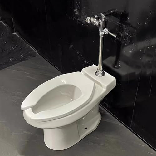 WXXSHGDW WXXZCE Vater Baño, Inodoro con Chorro de Agua con Válvula de Descarga Manual, Material Cerámico, Instalación de Pie, Drenaje de Suelo, Desplazamiento 4,5L