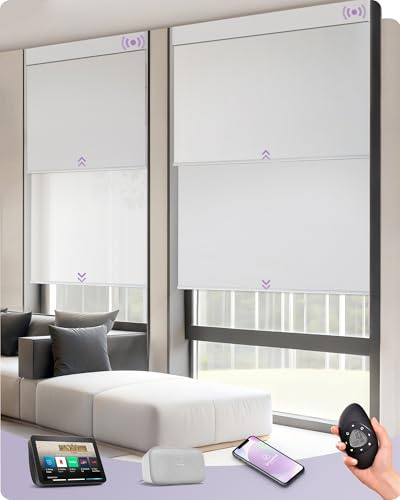 Graywind Customized Smart Dual Roller Blinds, Blackout & Sheer Motorized Double Blinds, Rechargeable Electric Roller Blinds Remote Control Compatible With Alexa Google, White