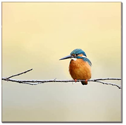 banjado Glas Magnettafel (75 x 50cm) - Magnetwand Glas - Magnetpinnwand als Memoboard - Pinnwand Magnettafel Küche, Büro, Kinderzimmer - Pause