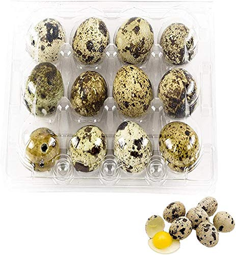 Jilijia 50pcs Quail Egg Storage Box - Transparent PVC Rectangular Carton for Quail Eggs - 12/18/20 Grids - Modern Design - Portable - No Lid - Bathroom Use