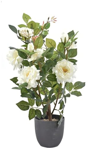 Premium Künstliche Rosen 50-55 cm, Kunstblumen wie Echt, Blumen Deko, Kunstrosen im Topf, Blumentopf aus Beton, Hergestellt in der EU, 6 große Blüten und 3 große Knospen, Fake Rose - Cremig