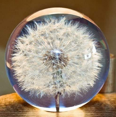 Dandelion Dream Ball Paperweight Crystal Wishing Ball Unique Dandelion Paperweight The Perfect Gift (7cm) Diameter