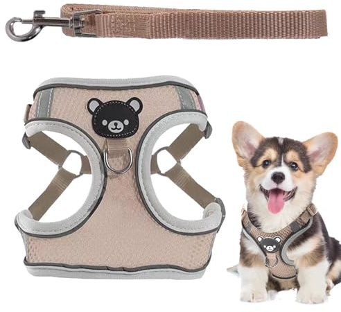 Imbracatura per cani chii, imbracatura per cani illuminata, set di corde e imbracatura per cuccioli, imbracatura regolabile per cuccioli, gilet morbido, guinzaglio per animali da compagnia, tuta per