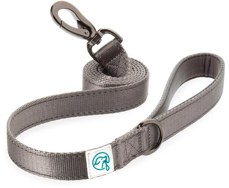 Embark Adventure Dog Lead - Colorful, Strong and Sturdy Nylon Leash for Small, Medium and Large Breed Dogs - Heavy Duty Training Lead (Black)