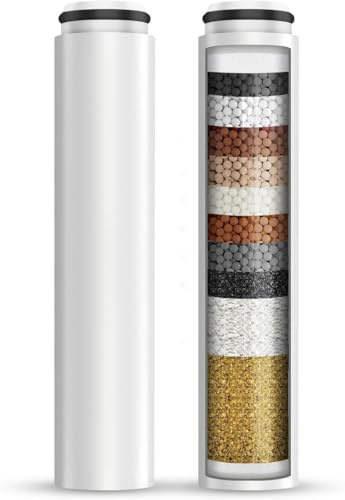 Filtre de Pommeau de Douche, Lot de 2, Nettoyage de L'eau Dure et L'élimination du Chlore et des Substances Nocives (Filtre pour pomme de douche de Modèle T018)