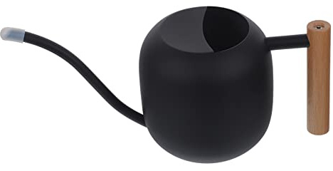LIOOBO 1.2L Edelstahl Gießkanne Mit Ausgießer – Elegante Blumengießkanne Für Zimmerpflanzen - Sukkulenten Und Bonsai – Stilvolles Design in Schwarz Für Garten Und Innenbereich