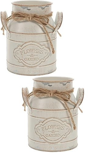 Happyyami 2pièces Seau Fer Vintage pour Fleurs Vase Décoratif Fer pour Jardin Et Intérieur Conteneur pour Fleurs Séchées Élégance Rétro pour Maison Et Bureau