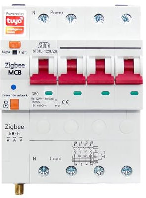 AYNRJKKX Interruttore Automatico 1P-4P 80A Modulo orario Interruttore su Guida DIN Controllo vocale(4,10A-80A)
