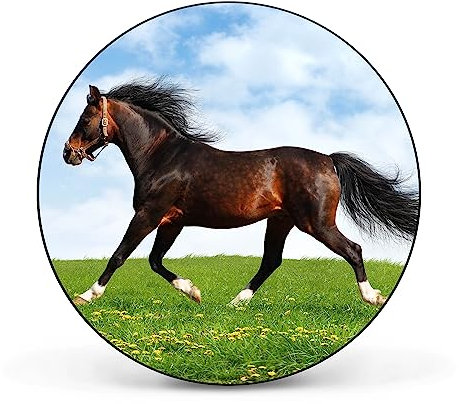 banjado Magnettafel Ø 47cm Schwarz - Magnetwand aus Metall - Magnetpinnwand als Memoboard - Pinnwand Magnettafel Küche, Büro, Kinderzimmer inkl. 4 Magnete & Montageset - Pferd
