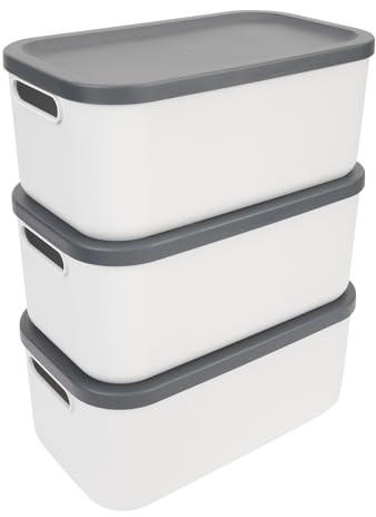 Rotho Albula Aufbewahrungsbox mit Deckel 3er-Set 12 L stapelbar Creme-Weiß | Aufbewahrungsboxen, Ordnungsboxen mit Deckel, sicher verschließbar, stapelbar, platzsparend, mit 2 Griffen, Creme-Weiß