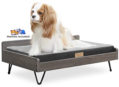 TailZzz Hundebett aus Holz und Hundesofa mit wasserabweisender und beruhigender Matratze, kleines bis mittelgroßes erhöhtes Haustierbett, Greenguard Gold Zertifiziert, Hundebetten & Möbel, Chase