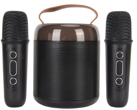 Altoparlanti Karaoke Wireless Effetto Sonoro di Caraoke Portatile per Feste di Famiglia, 2 Microfoni, Set Altoparlanti, Set Mini Karaoke (BLACK)