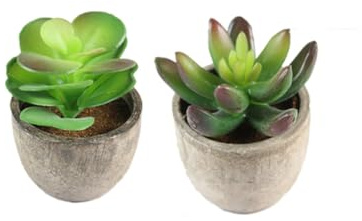SUPVOX 5 Piezas Suculentas Artificiales Micro Maceta Decoración Hogar con Plantas Plásticas Simulación Realista para Estanterías y Escritorios Colores Vibrantes y Natural