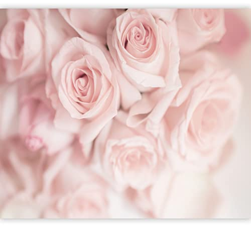 murando Fototapete selbstklebend Blumen Rosen 245x175cm Foto Tapete Tapetenfolie Möbelfolie Wandverkleidung Wandtapete Motivtapeten Bildtapete Wohnzimmer 3d Effekt Modern Flur Natur Botanik rosa