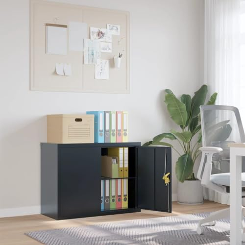 LAPOOH Aktenschrank Anthrazit 90x40x70 cm Stahl, Metallschrank, Werkstattschrank, Werkzeugschrank, Büroschrank, Lagerschrank, Garagenschrank, Stahlschrank