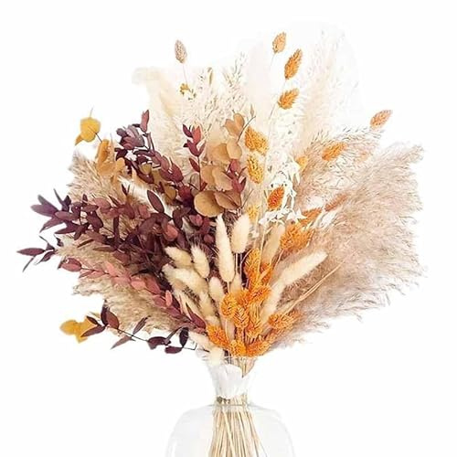WGXIA Pampasgras Trockenblumen Set 64 Stück Bunny Tails Federgras Deko | Natürliche Trockenblumen in warmen Naturfarben, ideal für Vase, Wohnzimmer, Hochzeit und saisonale Dekoration