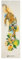 Shakti Warrior ShivShakti Yogamatte – Künstler-Design, hochwertig bedruckte Matten, rutschfest, ideal für regelmäßiges und Hot Yoga, Pilates und Workout (183 x 61 x 5 mm dick)