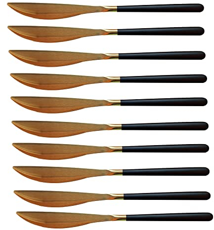 Bayli Juego de 10 cuchillos para menú, de postre, 22 cm, de acero inoxidable, con diseño pulido espejo, cubertería de comedor, cena, cuchillo de mesa, cuchillo de desayuno