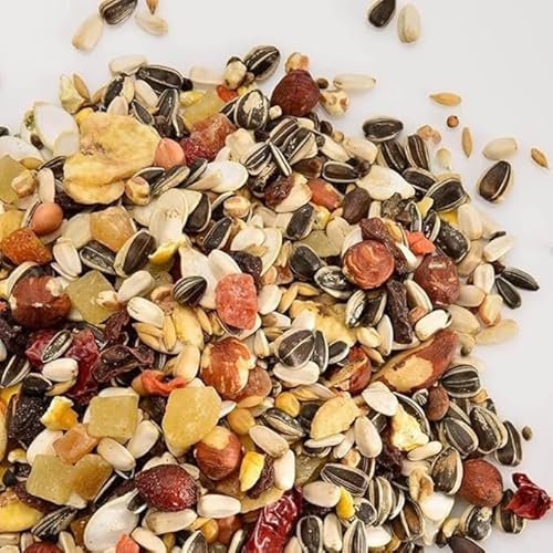 Blue Sky Feeds Exotic Fruit For Parrots 600g