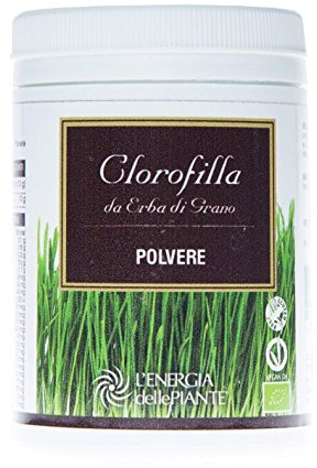 Polvo de pasto de trigo orgánico de clorofila