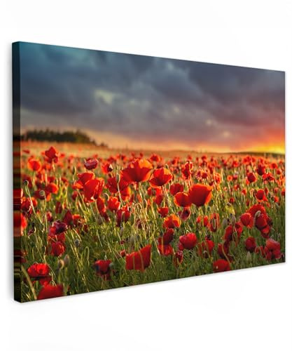 MuchoWow© Leinwand Bilder Groß XXL Wanddeko Wohnzimmer Aesthetic Room Decor | 120x80 cm - Deko Zimmer Wandbilder Modern Fotogeschenke Sonnenuntergang - Mohn - Rot - Blumen - Feld - Bild Natur