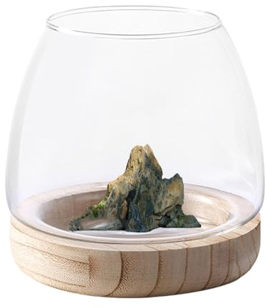 Vases pour plantes hydroponiques Vases en verre transparent Vases pour aquariums Vases avec pied en bois Vases d'aquarium écologiques pour la décoration de la maison Bol en verre Centres de table pour