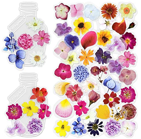 240 Blatt Blumenaufkleber Sammelalbum Aufkleber Dekorative Blütenblatt Aufkleber Planer Aufkleber Verschiedene Aufkleber Erwachsener für Scrapbooking-Karte Tagebuch machen Handcrafts (Anson)