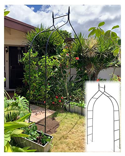 Outdoor Garden Arch Frame Gothic 98 H x 55 W Anti-rust Rose Arbor Black Trellis Metal Weather Resistant Climbing Plant Wedding Decoration Pergola