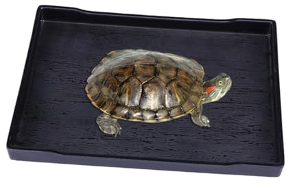 ERINGOGO Reptilienfutternapf Großzügig Unzerbrechlich Flach Beschwert mit Holzmaserung für Schildkröten Baden Haustiere