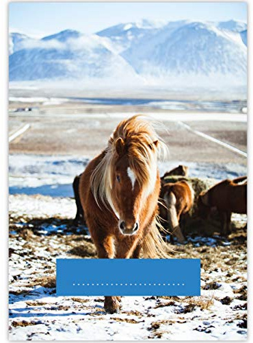 1 schöner DIN A3 Kinder Malblock Motiv Winter Pony • Zeichenblock Skizzen-Block 25 Blatt weiß, kopfverleimt, holzfreies Qualitäts-Papier 100g/m²- für Schule, Basteln, Hobby