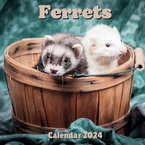 Ferrets Calendar 2024: 16 Months Organizer For Home & Office For Animals lovers , Mens , Womens , kids