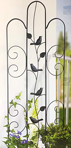 Garden Feelings Rankspalier Eisen, pulverbeschichtet, einbrennlackiert; B×H: ca. 38×118 cm; Verschiedene Modelle (4 Vögel Schwarz)