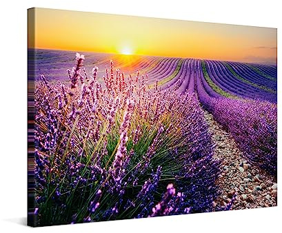 PICANOVA – Leinwandbild 120x80cm Lavendelfeld Sonnenuntergang – Leinwanddruck – Wandbild Kunstdruck Auf 2cm Holz-Keilrahmen Für Schlaf- Und Wohnzimmer Wanddekoration – Bild auf Leinwand