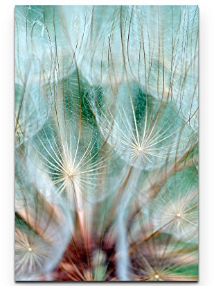 Leinwandbilder | Bilder Leinwand 90x60cm Pusteblume – Nahaufnahme