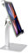 woleyi Desktop Tablet Holder with Anti Theft Lock and Key, Heavy Duty Aluminum Tablet Mount Stand for Security Kiosk Commercial for iPad Pro/Air/Mini, Galaxy Tabs, Surface, More 7-11 Tablets