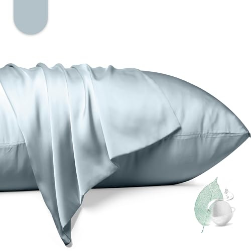 100% Mulberry Silk Pillowcase 2 Pack,Queen Size Silk Pillow Cases for Hair and Skin,Silky Smooth Bed Pillow Cover with Hidden Zipper,Natural Silk Pillow Case Set of 2 (Ash Blue, Queen 20X30)